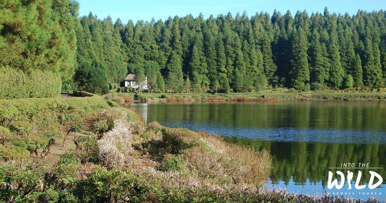 Van Tour: Sete Cidades - Half Day