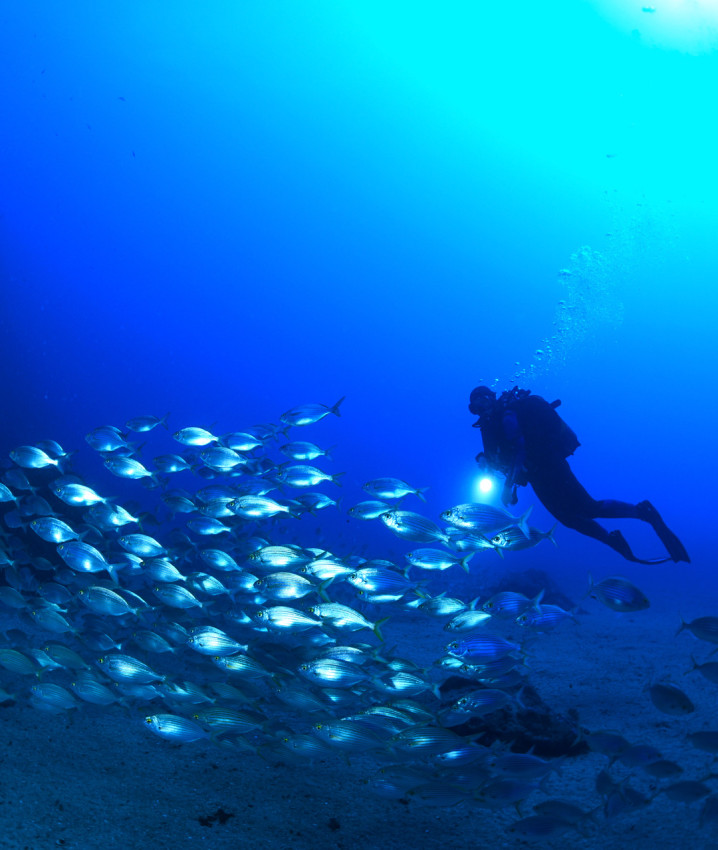 Mergulho: Discover Scuba Diving (Batismo de Mergulho)