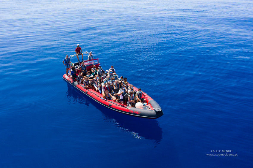 Boat trip: Corvo + Transfers to Caldeirão 