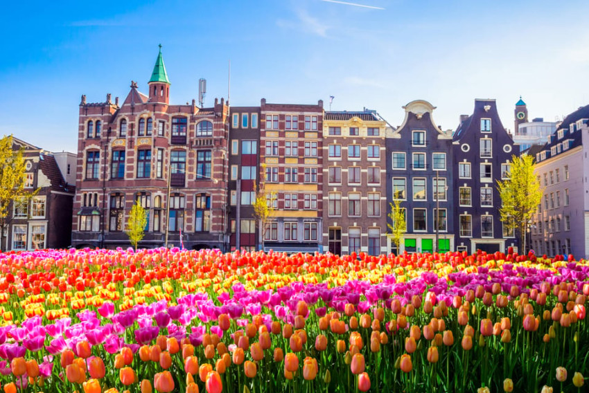 Full Day Tour: Day Trip to Amsterdam