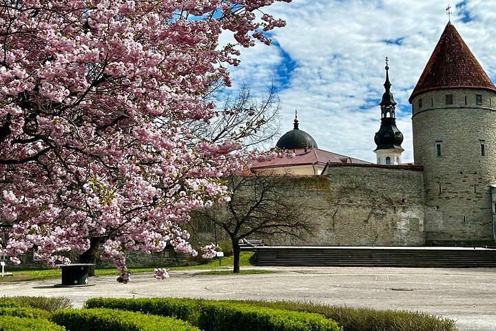 A Pé: Visita Guiada a Pé pelo Centro Histórico de Tallinn