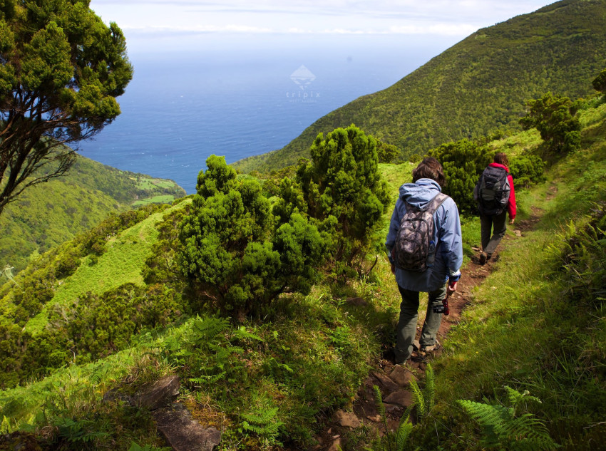 Tours : São Jorge Tour