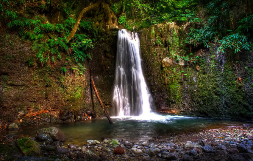 Hiking Tour: Sanguinho/ Salto do Prego - Full Day