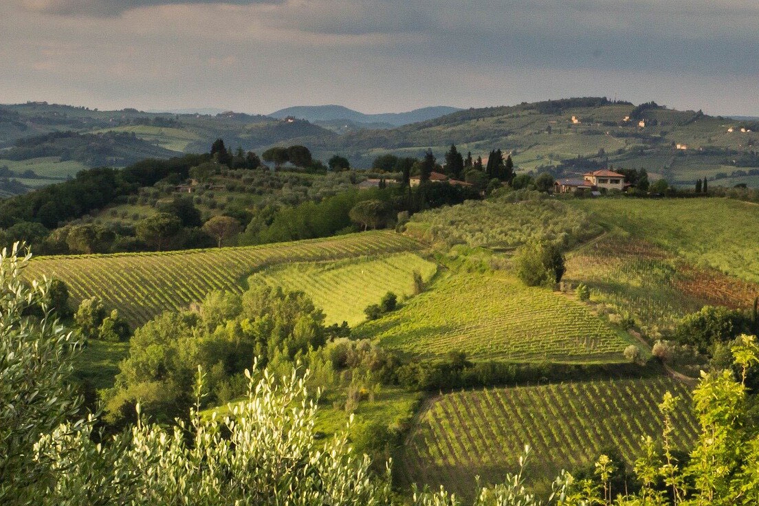 Food & Wine: Tuscany Truffle Hunt: A Culinary Adventure