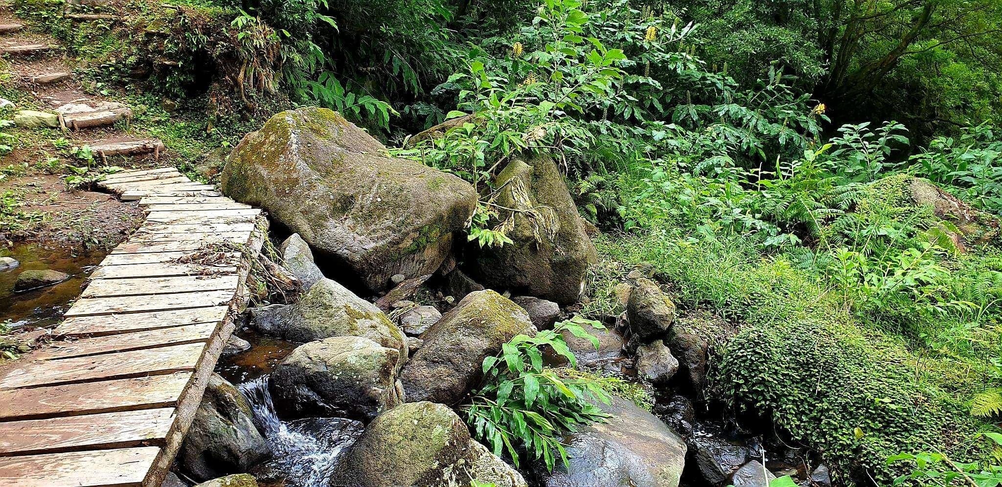 Trilho Pedestre: Faial da Terra | Sanguinho - Dia Inteiro